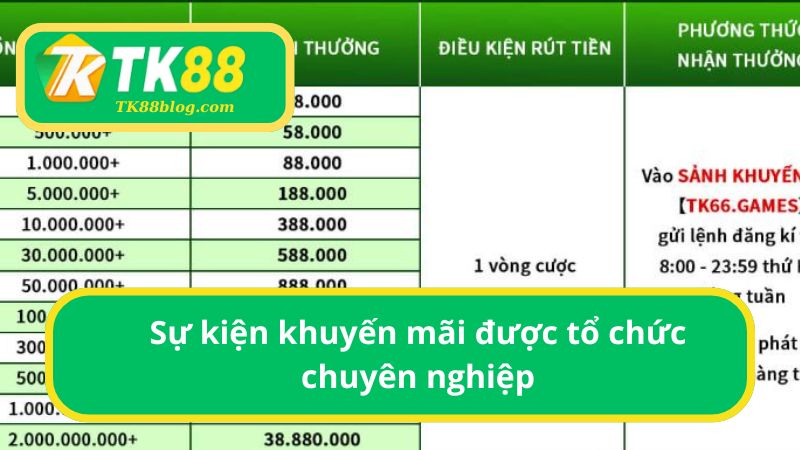 Nền tảng khuyến mãi được tổ chức chuyên nghiệp