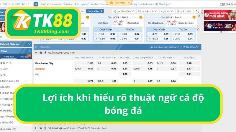 Lợi ích khi hiểu rõ thuật ngữ cá độ bóng đá